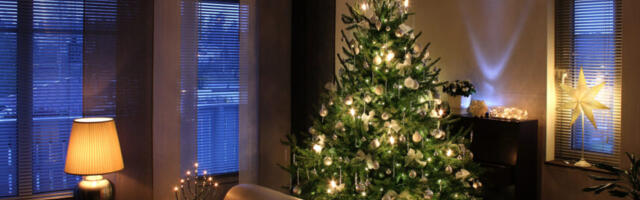 Kuusk on ehitud, aga õige tunne ikka puudu? Üks väike detail muudab kogu toa atmosfääri