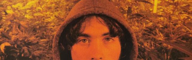 Kohus jättis kanepivisionäri trellide taha