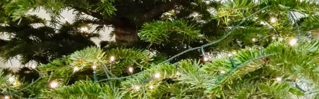 Põhja-Pärnumaa lastele jagatakse peagi jõulupakke