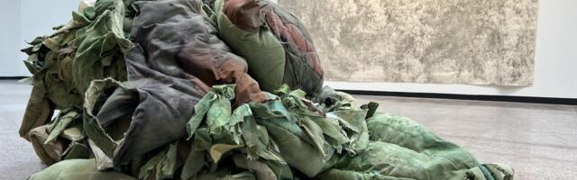 Uus näitus: põõsad ja mustrid Haapsalu linnagaleriis