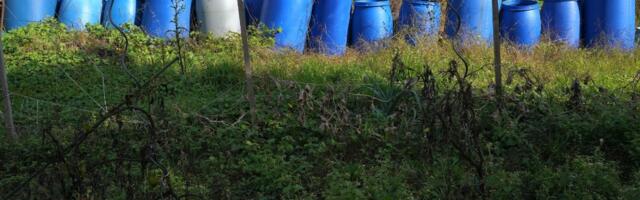 ЕКО? Молодша пара, яка заснувала відпочивальний комплекс у шведському лісі, залишила за собою 158 сміттєвих бочок і мертвих тварин.