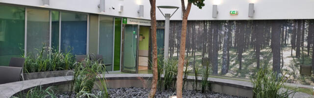 REGIONAALHAIGLA VÕTAB TÄHELEPANUKESKMESSE LÄHISUHTEVÄGIVALLA