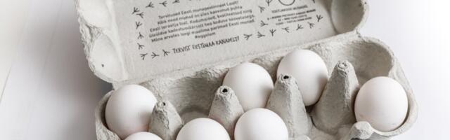 Suurtootjate ajalooline lepe: Eesti munatootjad lähevad üle puurivabale tootmisele
