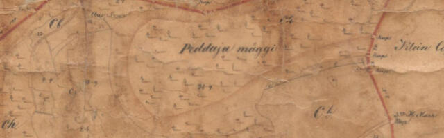 Kambja vallas avastatud muistne linnamägi võib olla ainulaadne rituaalne rajatis