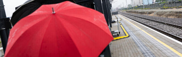 Neljapäeval sajab vihma