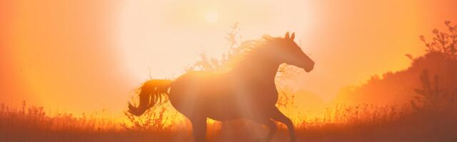 Astroloog hoiatab: Tulihobuse aasta 2026 toob otsustavad pöörded ja sunnib lõpuks tegutsema