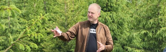 RMK teadustöö vili: Eesti metsandus jõuab ajaloo esimeste kõrgema astme seemlateni