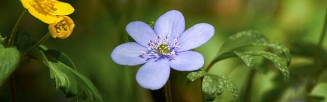 Päevahoroskoop : esmaspäev, 7. aprill