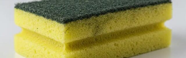 Mitme päeva järel peaksid nõudepesukäsna ära viskama? See sisaldab rohkem baktereid kui tualett