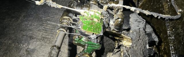 PÕLENG | Naaber päästis koera