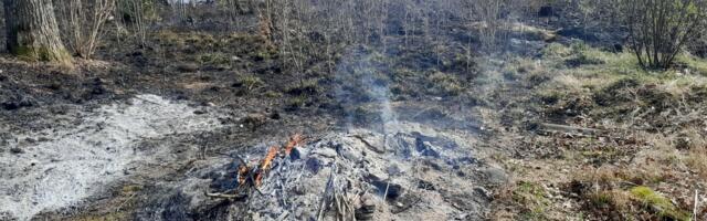 Lõuna-Eesti päästjatel oli töine ööpäev