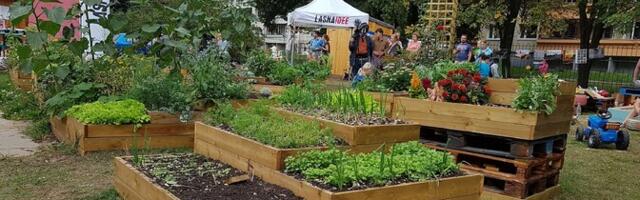 "Teise mätta otsast": metsik tühermaapeenar säästab kastiaiast enam loodust