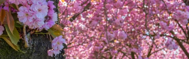 Päevahoroskoop : esmaspäev, 21. aprill