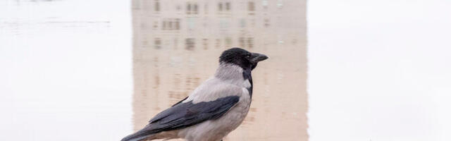 Teisipäev on pilves selgimistega ja sajuta