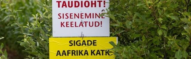 Sigade Aafrika katku uus laine võib suvel ohustada ligi 50 seafarmi