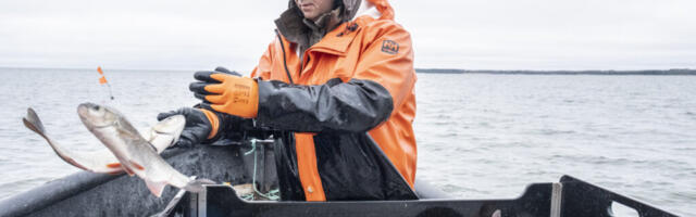 REKORDILINE KALAPÜÜGIAASTA | Mudilapüüdjad Virko Martinit ei murdnud