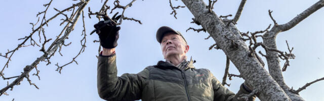 ARGIKOMÖÖDIA | Tõnu Õnnepalu vormis töötegemise raamatuks