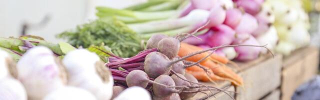 Mahetootmisega alustajad saavad homseni esitada tunnustamise taotlusi