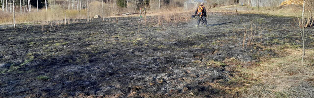 PILDID: Võru vallas käidi kulupõlengut kustutamas