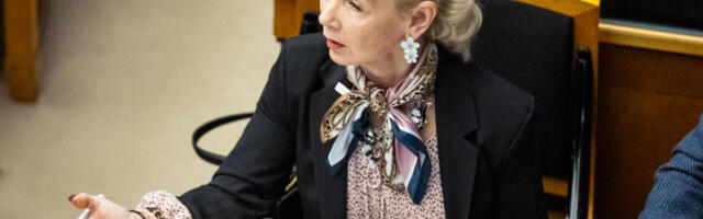 Хелле-Мооніка Хельме: курітня відбуваються в притулках, які належать представникам Реформаторської партії.