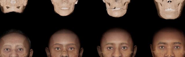 Mehhikost leiti 1400 aastat vana kuubikujuline kolju