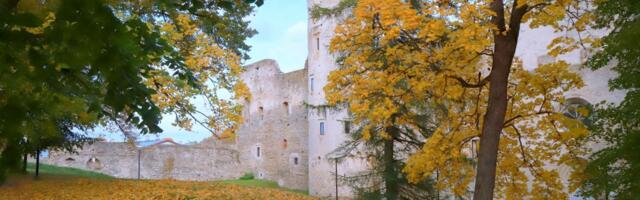 Veskioja avas neuroloogiahaiglas näituse