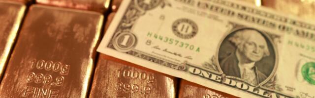 Analüütikute pilk: dollar, võlakirjad või kuld?