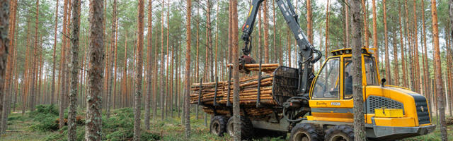 Keskkonnaagentuuri blogis: Kui palju võib metsa raiuda – ja millest see sõltub?