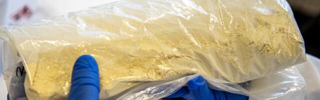 Nitaseeniäri maksis narkoärimehele 15 aastat vabadust