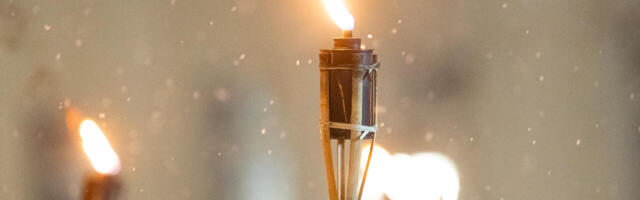 KÜSITLUS: rahvas tõstab pead ja on valitsuse halbade  otsuste vastu