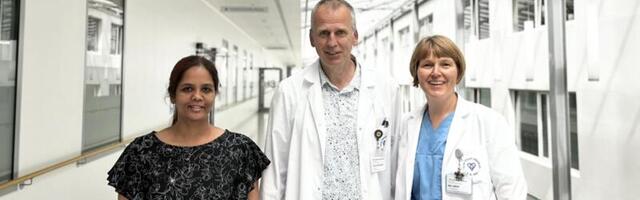 Uuring näitas te ja naiste unearteri ahenemise tekkimisel olulisi rakulisi erinevusi  