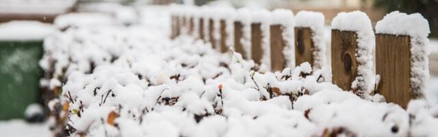 ПОГОДНА ІНФОРМАЦІЯ | Іде сніг і мокрий сніг, температура різко падає очень низько