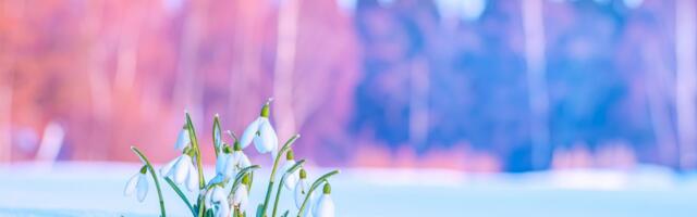 Märtsikuu toob kolmele tähemärgile armastuse, suure võimaluse ja kauaoodatud vabanemise