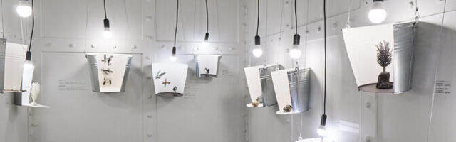 Ehtekunstnikud valisid A-galerii parimaks mulluseks seifinäituseks Kertu Tubergi väljapaneku