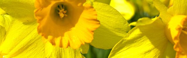 Денний гороскоп: понеділок, 14 квітня