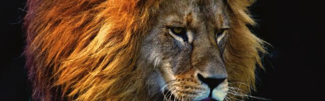 Need 5 tähemärki ei oska valetada ja räägivad tõtt ka siis, kui see teeb haiget