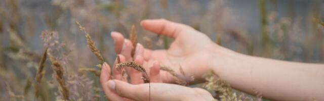 Need kuus märki võivad paljastada, et oled sündinud siia teisi aitama ja kaitsma
