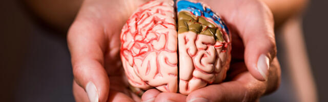 Viimase aasta suurimad ajuavastused, millest ei ole palju räägitud