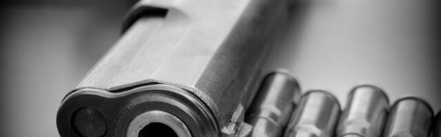 Німецька влада розпочала відбирати зброю в учасників найбільшої опозиційної партії AfD.