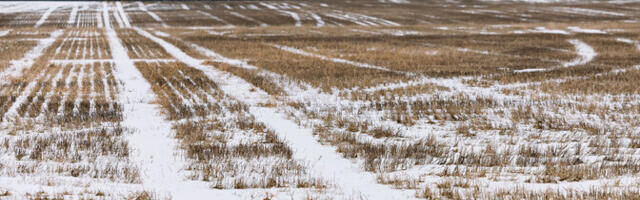 Põllumaa hind pööras langusesse