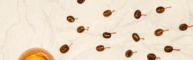 Uuring: enne viljatusravi tasub seemnepurskest hoiduda vaid mõni päev