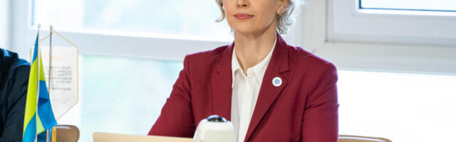 Evelin Poolamets: meil on valida Reformierakonna kalli ja EKRE odava elektripaketi vahel