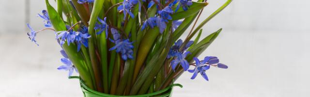 Щоденний гороскоп: четвер, 10 квітня