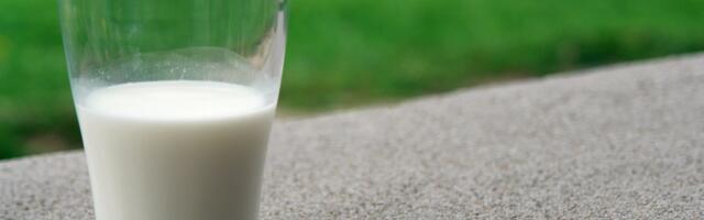 Minister: E-Piima pankroti järel tuleb esmalt kaitsta tootjaid