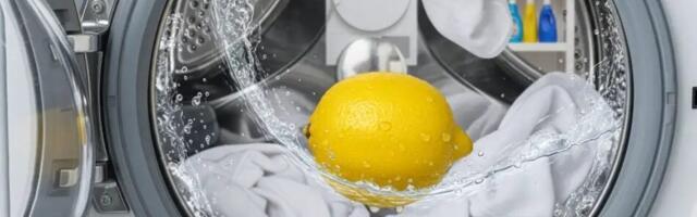 Vala sidrunimahla pesumasinasse – see lihtne nipp muudab su pesu ja masina täiesti teiseks