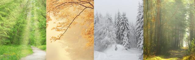 Vali üks teerada ja saa teada, mida sinu alateadvus ja sisetunne sinu kohta paljastavad