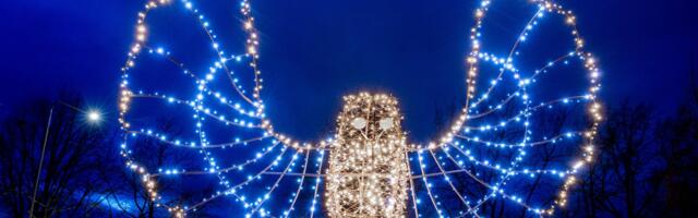 Pernova Loodusmaja õuelal avatakse Talvevalguse promenaad