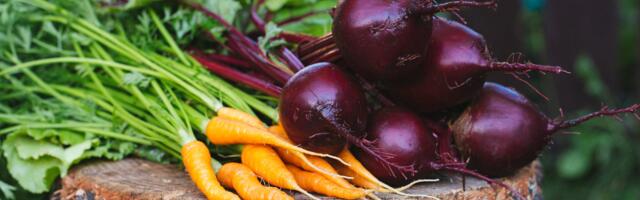 Toit kui parim ravim: kuidas lihtsad toiduvalikud toetavad silmade, maksa ja soolte tervist