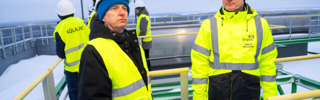 Rain Epler: kasutagem põlevkivi ja me muutume taas elektrit eksportivaks riigiks