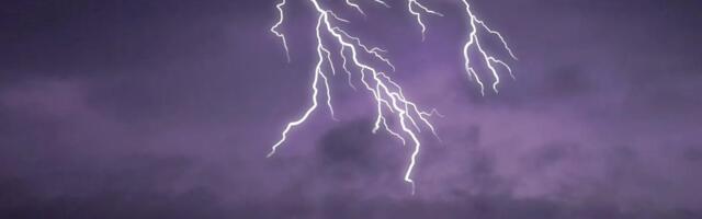 Teadlaste avastus_ puud võivad äikese ajal „sädeleda“